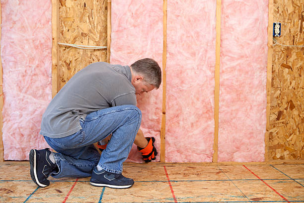 Best Fiberglass Insulation in Ballwin, MO