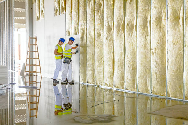 Best Specialized Insulation Services in Ballwin, MO